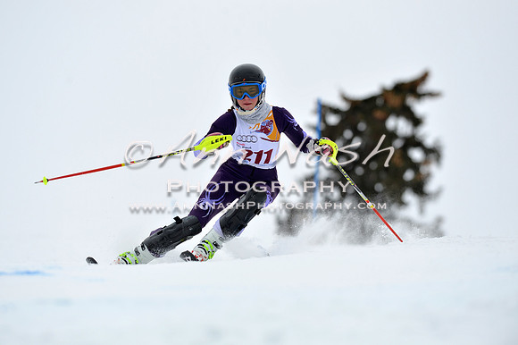 alpine_2015-02-14_13-36-06_DSC_8470_©AnnNashPhotographyLLC_2015