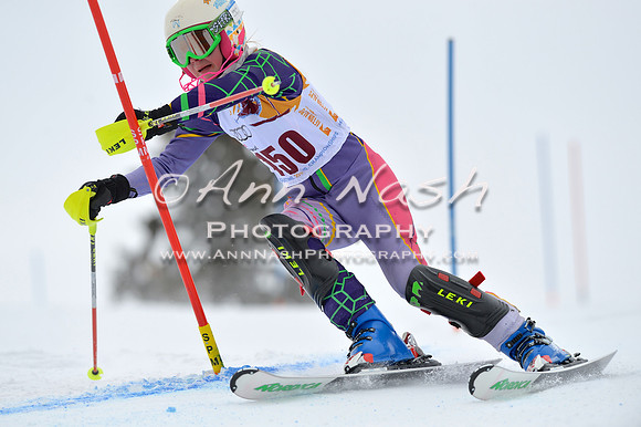 alpine_2015-02-14_12-48-09_DSC_7560_©AnnNashPhotographyLLC_2015