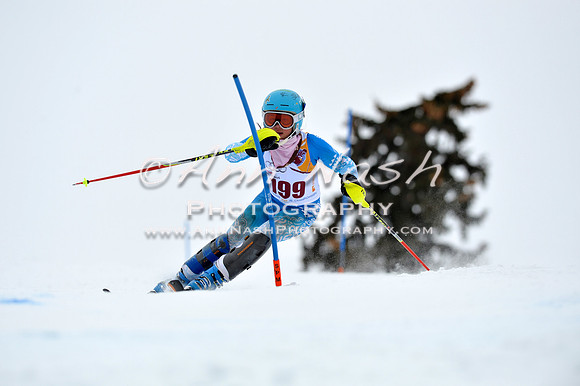 alpine_2015-02-14_13-36-37_DSC_8487_©AnnNashPhotographyLLC_2015