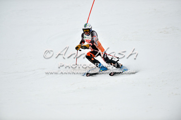alpine_2015-01-22_12-08-45_DSC_1214_©AnnNashPhotographyLLC_2015