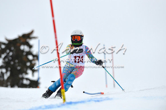 alpine_2015-02-14_12-48-42_DSC_7564_©AnnNashPhotographyLLC_2015