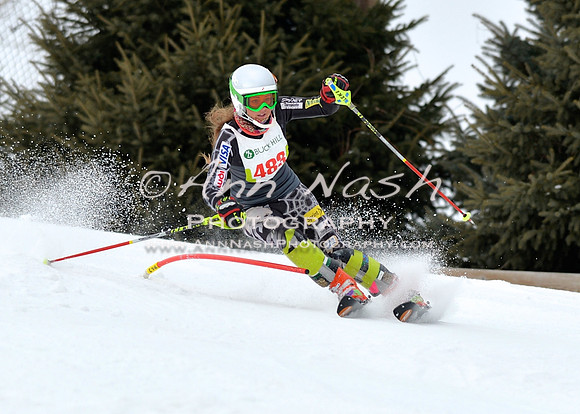 alpine_2015-01-22_11-59-49_DSC_0950_©AnnNashPhotographyLLC_2015