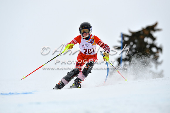 alpine_2015-02-14_13-32-22_DSC_8388_©AnnNashPhotographyLLC_2015