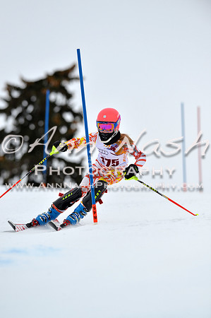 alpine_2015-02-14_13-02-57_DSC_7862_©AnnNashPhotographyLLC_2015