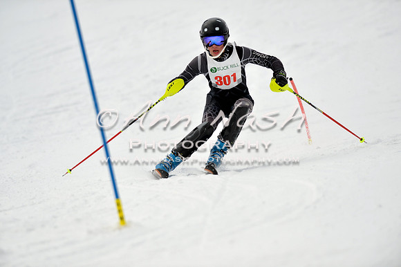 alpine_2015-01-22_11-41-54_DSC_0311_©AnnNashPhotographyLLC_2015