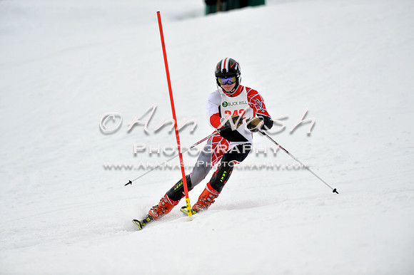 alpine_2015-01-22_11-49-19_DSC_0621_©AnnNashPhotographyLLC_2015