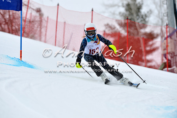 alpine_2015-02-14_10-46-54_DSC_6302_©AnnNashPhotographyLLC_2015