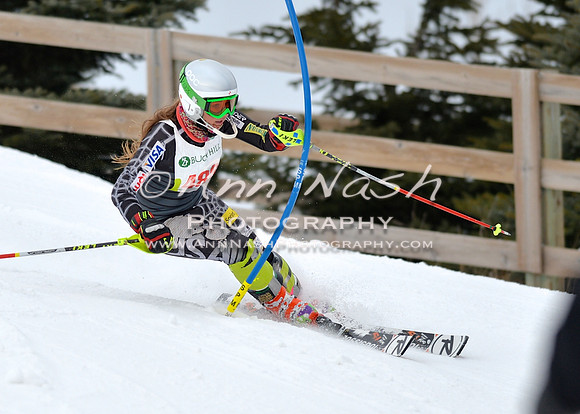 alpine_2015-01-22_11-59-51_DSC_0959_©AnnNashPhotographyLLC_2015