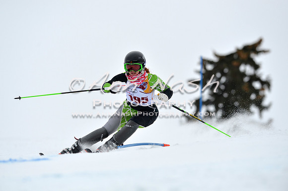 alpine_2015-02-14_13-33-32_DSC_8412_©AnnNashPhotographyLLC_2015
