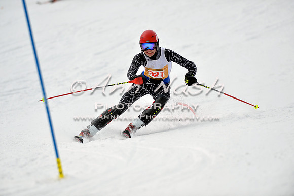 alpine_2015-01-22_11-42-41_DSC_0347_©AnnNashPhotographyLLC_2015