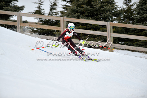 alpine_2015-01-22_11-50-40_DSC_0663_©AnnNashPhotographyLLC_2015