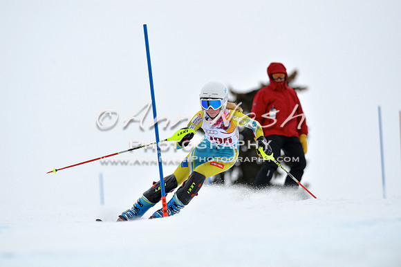 alpine_2015-02-14_13-33-00_DSC_8397_©AnnNashPhotographyLLC_2015