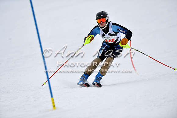 alpine_2015-01-22_11-48-13_DSC_0586_©AnnNashPhotographyLLC_2015