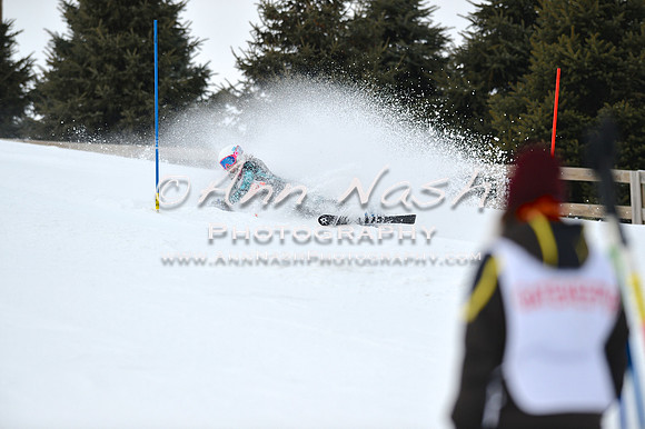 alpine_2015-01-22_11-56-34_DSC_0871_©AnnNashPhotographyLLC_2015