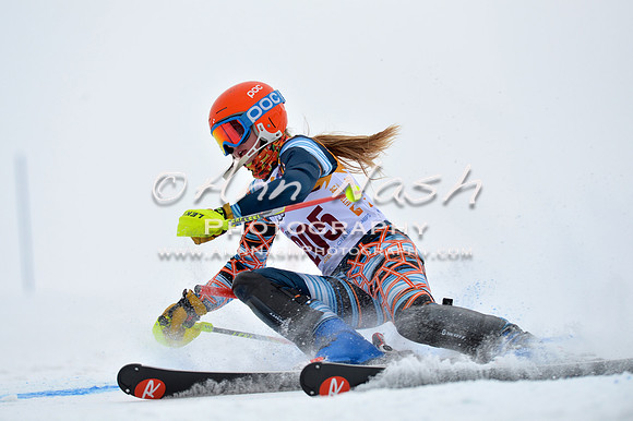 alpine_2015-02-14_13-31-49_DSC_8381_©AnnNashPhotographyLLC_2015