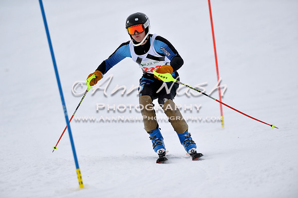 alpine_2015-01-22_11-48-13_DSC_0588_©AnnNashPhotographyLLC_2015