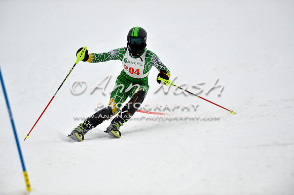 alpine_2015-01-22_12-13-55_DSC_1382_©AnnNashPhotographyLLC_2015