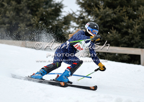 alpine_2015-01-22_12-01-12_DSC_0998_©AnnNashPhotographyLLC_2015