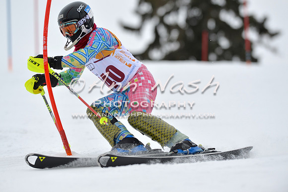alpine_2015-02-14_13-15-28_DSC_8124_©AnnNashPhotographyLLC_2015