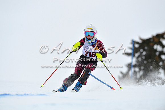 alpine_2015-02-14_13-34-58_DSC_8443_©AnnNashPhotographyLLC_2015