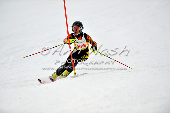 alpine_2015-01-22_12-05-11_DSC_1124_©AnnNashPhotographyLLC_2015