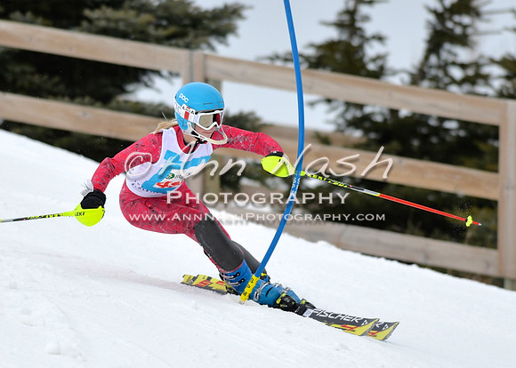 alpine_2015-01-22_12-00-39_DSC_0984_©AnnNashPhotographyLLC_2015