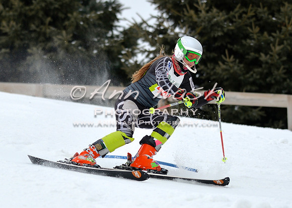 alpine_2015-01-22_11-59-50_DSC_0956_©AnnNashPhotographyLLC_2015