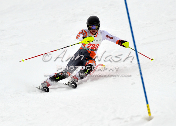 alpine_2015-01-22_12-03-10_DSC_1041_©AnnNashPhotographyLLC_2015