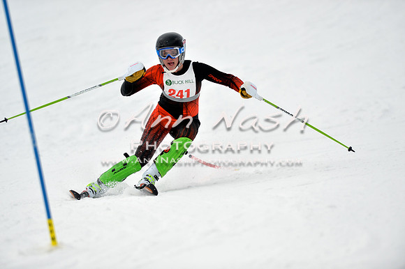 alpine_2015-01-22_11-38-23_DSC_0181_©AnnNashPhotographyLLC_2015