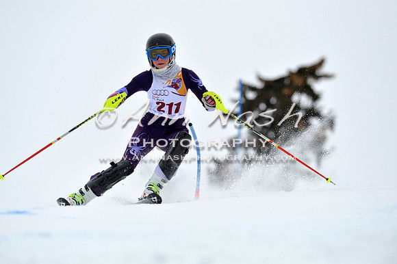 alpine_2015-02-14_13-36-06_DSC_8471_©AnnNashPhotographyLLC_2015