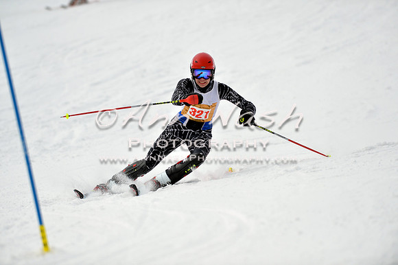 alpine_2015-01-22_11-42-41_DSC_0346_©AnnNashPhotographyLLC_2015