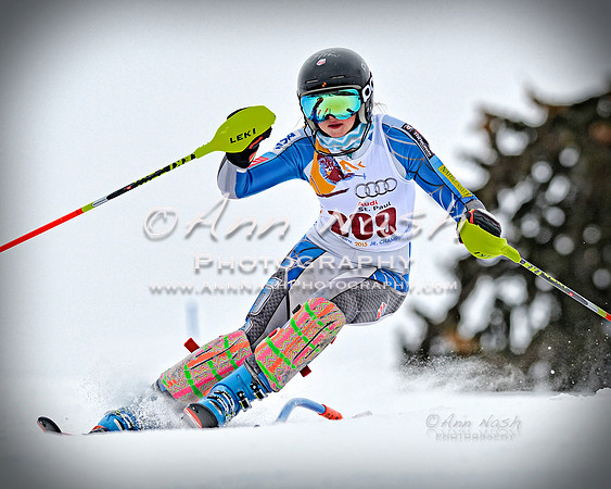 alpine_2015-02-14_13-47-19_DSC_8758_©AnnNashPhotographyLLC_2015