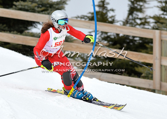 alpine_2015-01-22_11-39-59_DSC_0223_©AnnNashPhotographyLLC_2015
