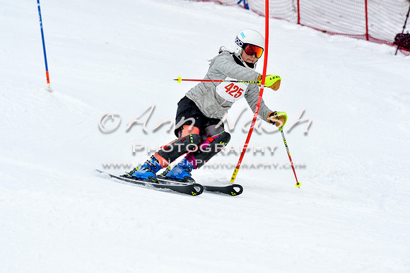 2016 January 22 alpine DSC_1412