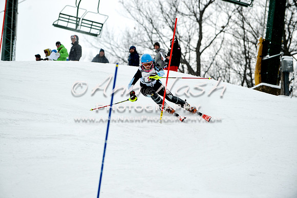 2015 December 18 alpine DSC_9541