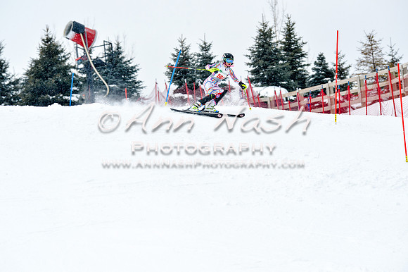 2016 January 22 alpine DSC_1337