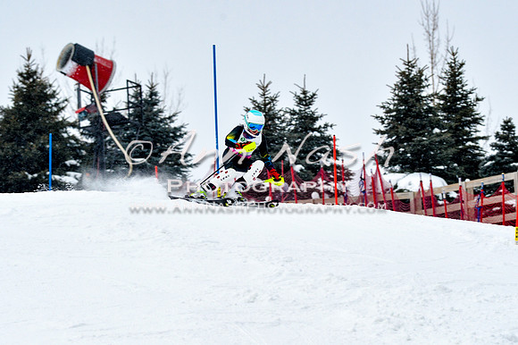 2016 January 22 alpine DSC_0917