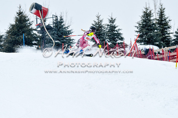 2016 January 22 alpine DSC_0814