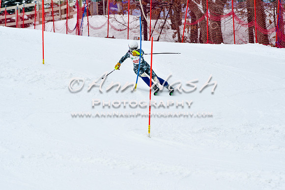 2016 January 22 alpine DSC_1304