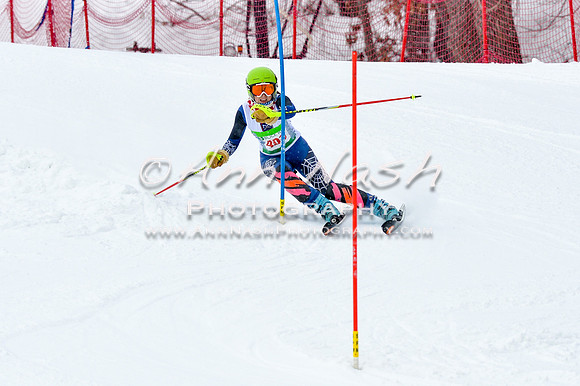 2016 January 22 alpine DSC_1081