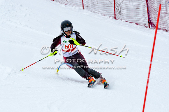 2016 January 22 alpine DSC_0685