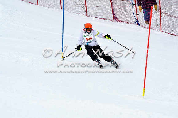 2016 January 22 alpine DSC_1235