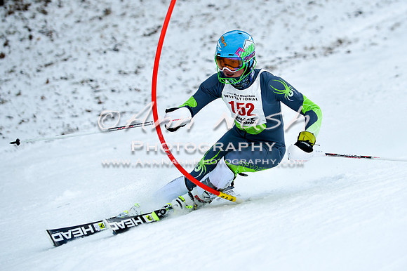 2015 December 18 alpine DSC_9799