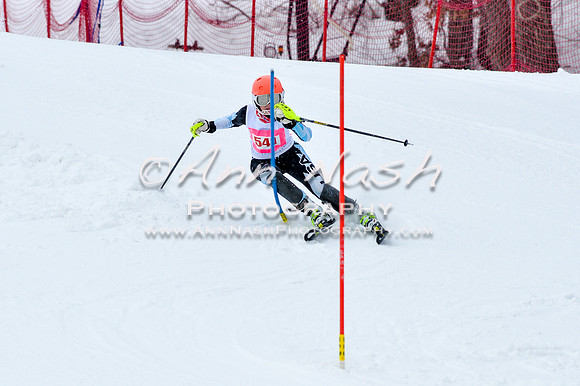 2016 January 22 alpine DSC_0715