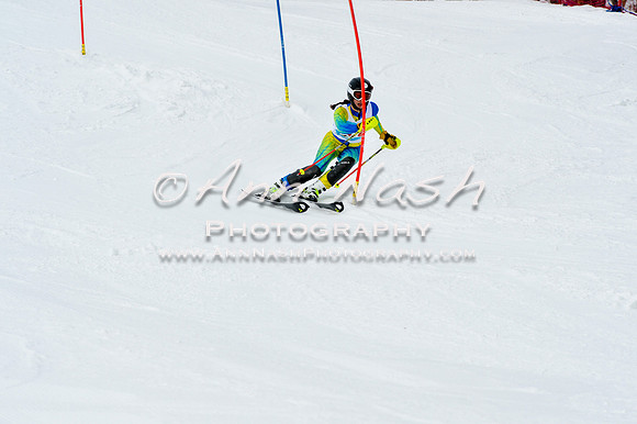 2016 January 22 alpine DSC_1607