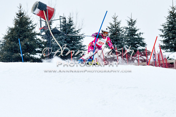 2016 January 22 alpine DSC_0785