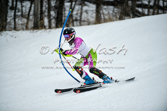 2015 December 18 alpine DSC_9082