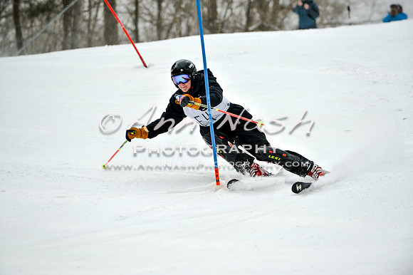 2015 December 18 alpine DSC_9496