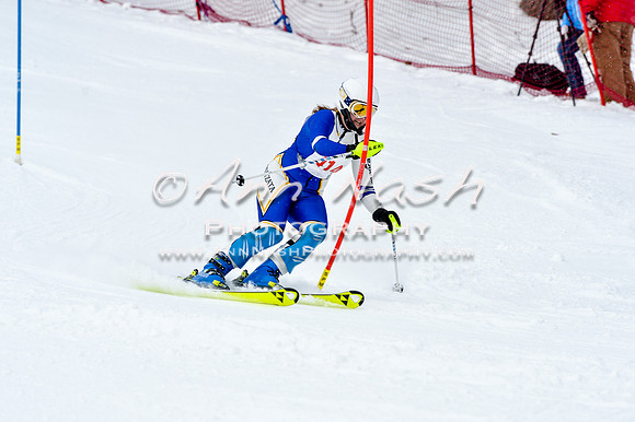 2016 January 22 alpine DSC_1186