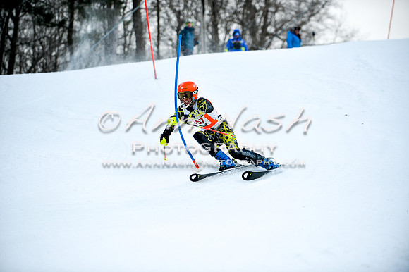 2015 December 18 alpine DSC_9730